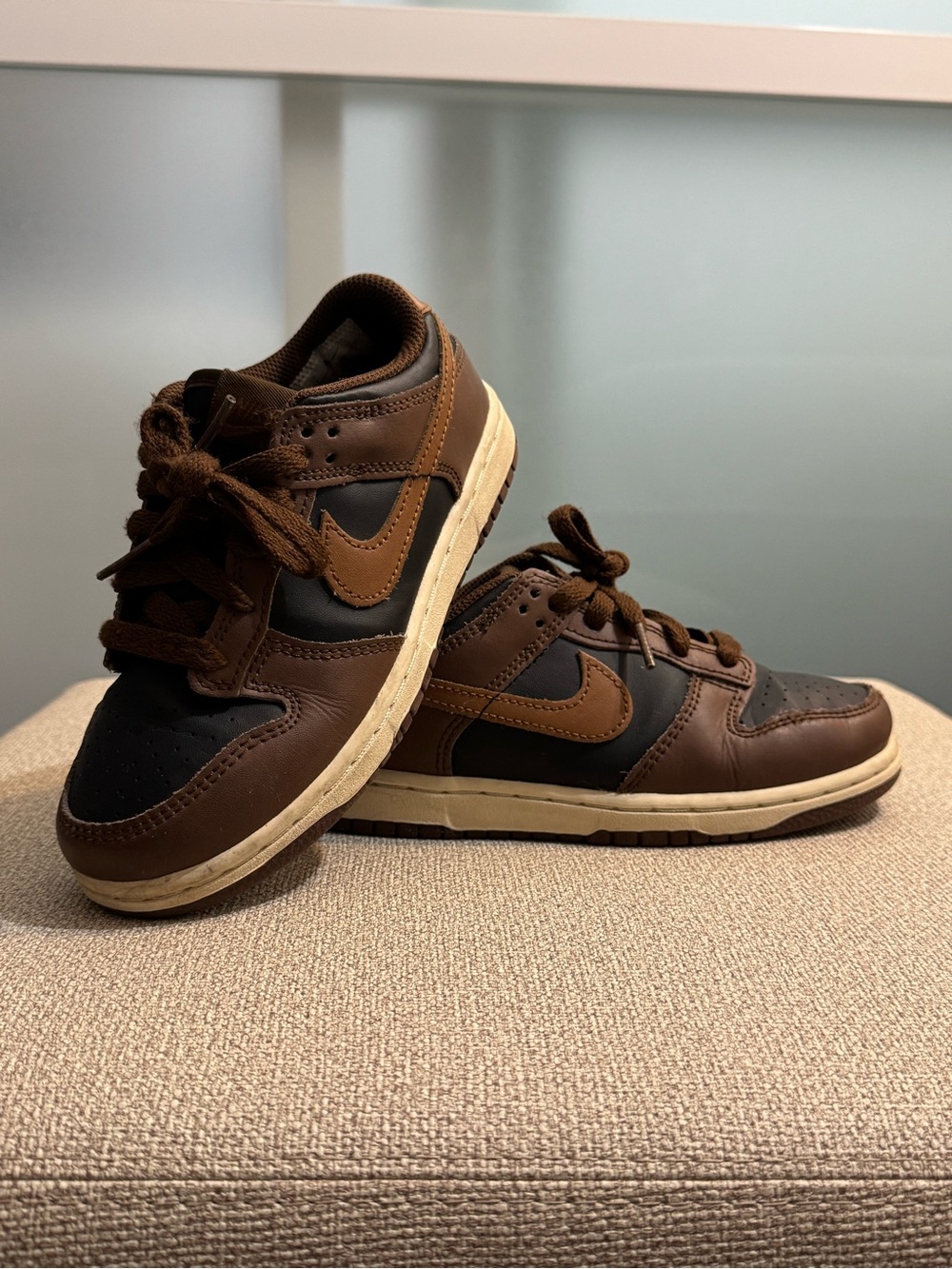 Boys low top leather Nike Dunks
